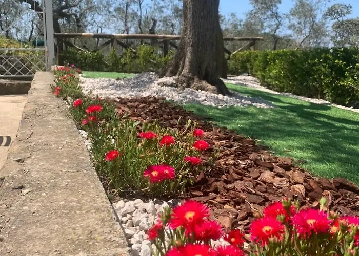 A Nocleg ze śniadaniem