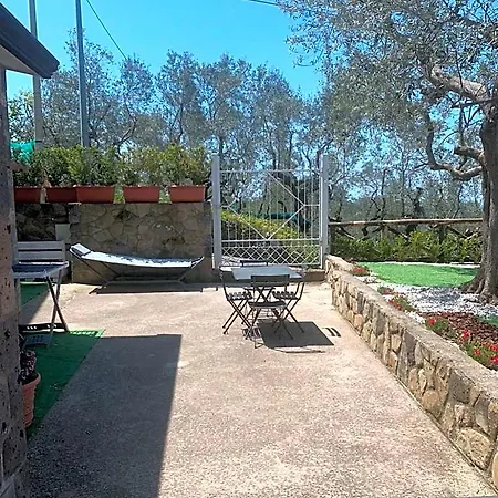 A Bed and breakfast