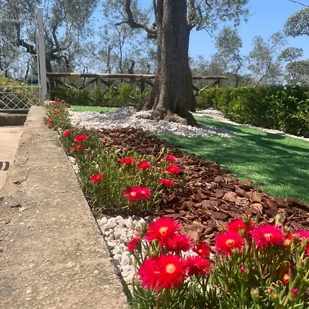 A לינה וארוחת בוקר